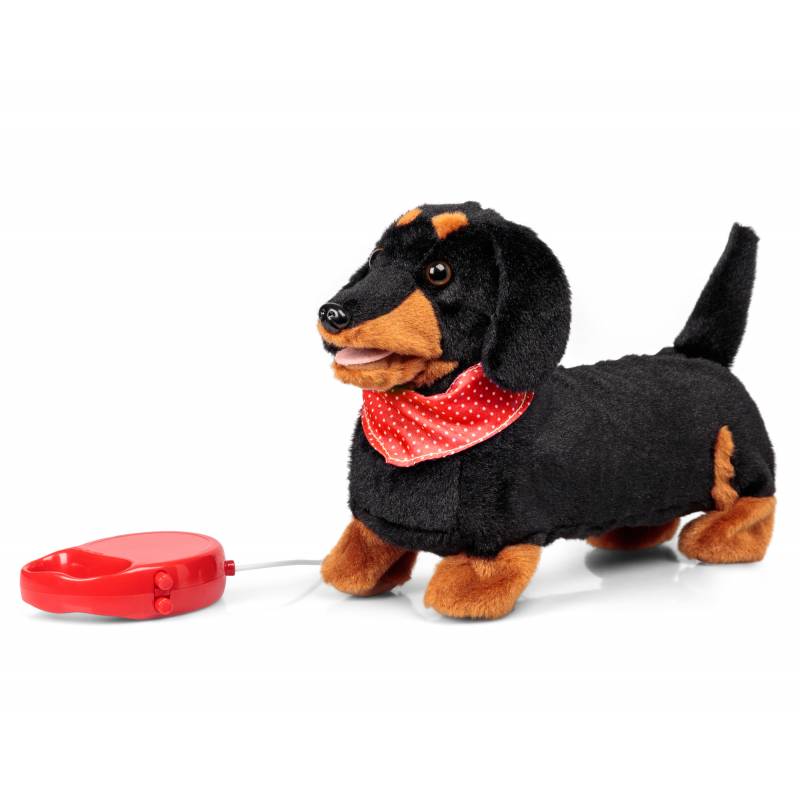 Remote Controlled Sausage Dog | Funky 