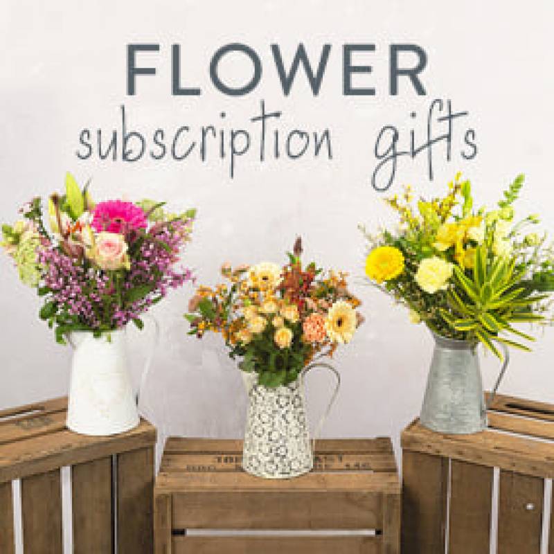 Hand Tied 6 Month Flower Gift