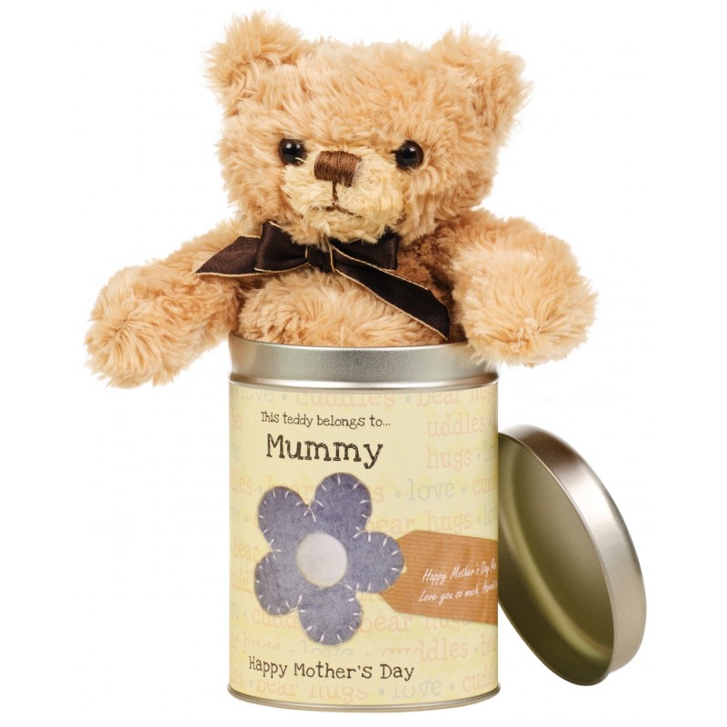 teddy in a tin