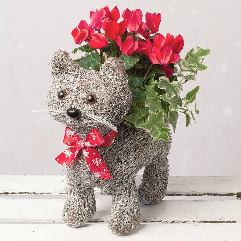 Christmas Cat Planter