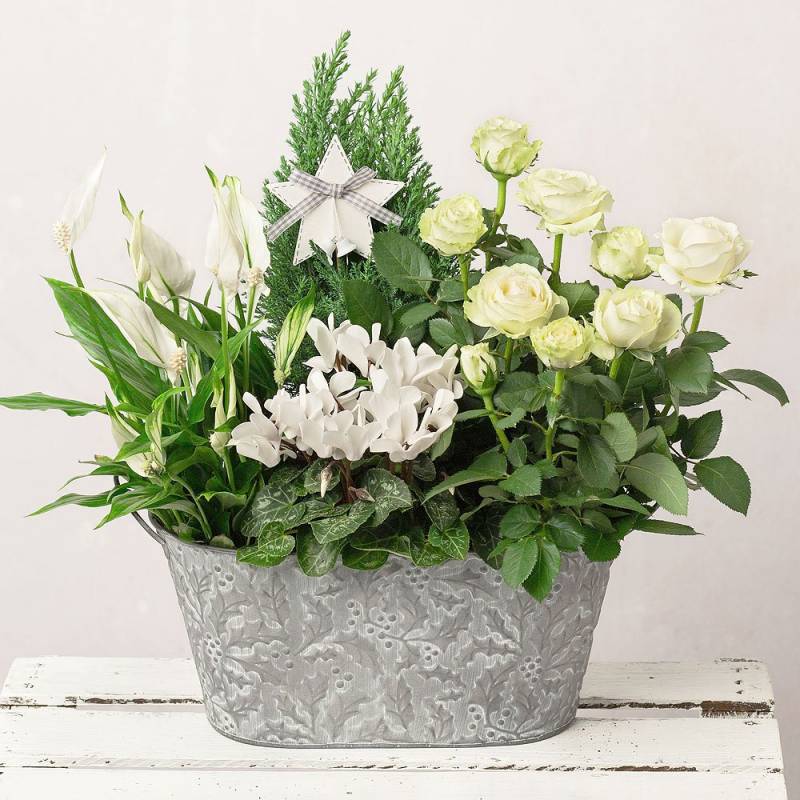 Frosty Flower Planter