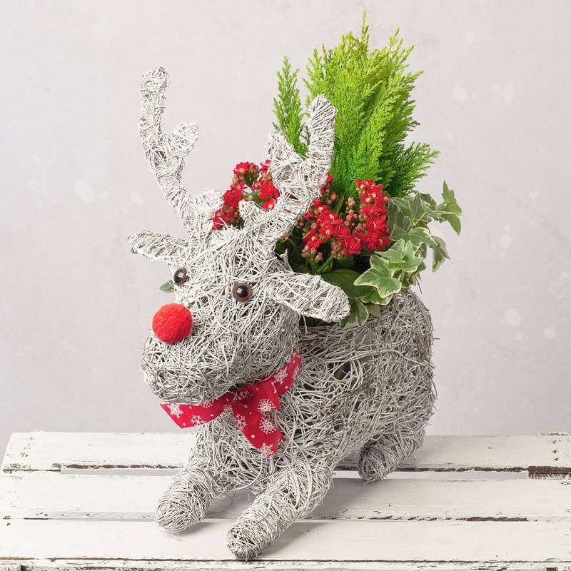 Reindeer Planter