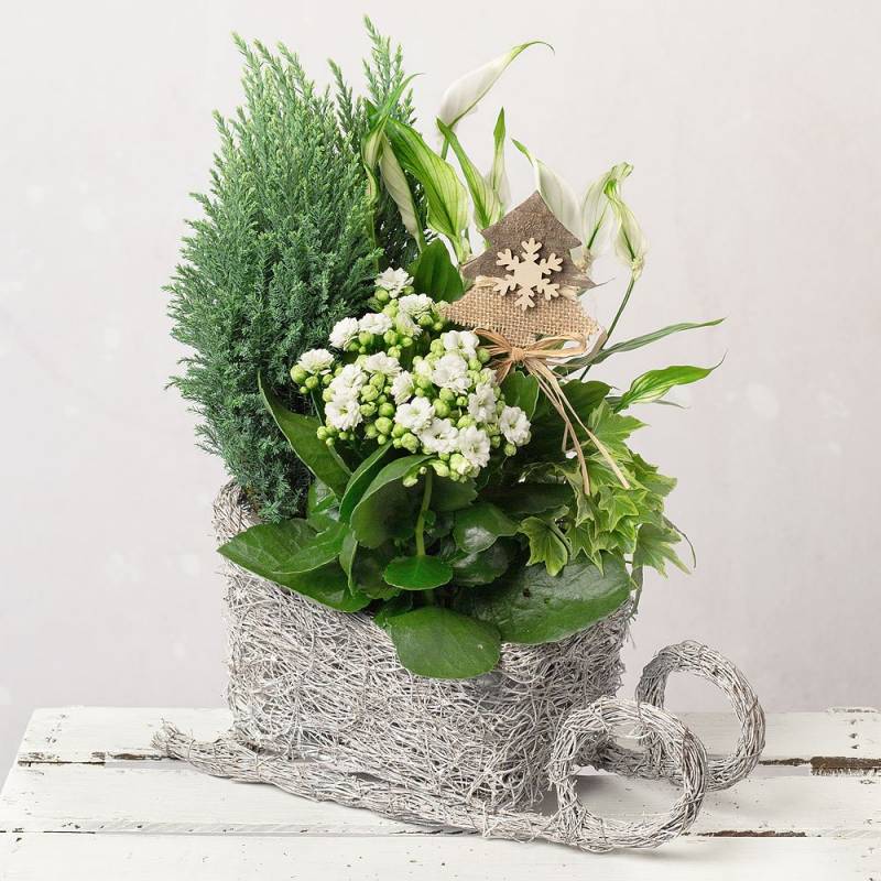 Santa's Sleigh Planter